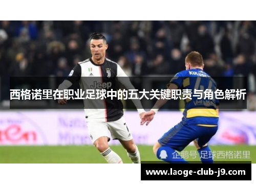 西格诺里在职业足球中的五大关键职责与角色解析 西格诺里在职业足球中的五大关键职责与角色解析