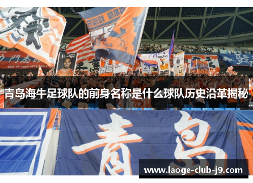 青岛海牛足球队的前身名称是什么球队历史沿革揭秘 青岛海牛足球队的前身名称是什么球队历史沿革揭秘